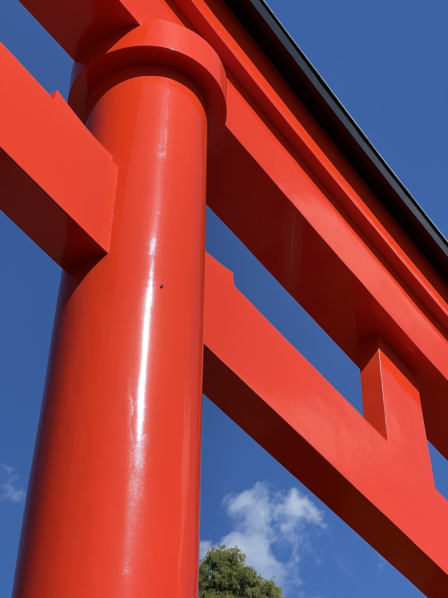 ありがとう価格☆沖宮神社ドルフィン夜光貝☆円満な関係回復オルゴ