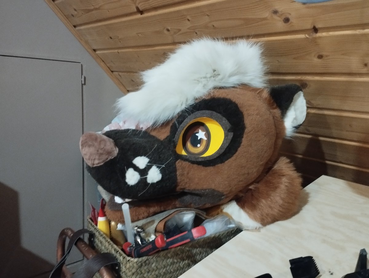 RydzMaxForteB6's tweet photo. Making a 2.0 of my 5th suit soon 4,5 years after making the one from the pic https://t.co/EQXsptemwQ