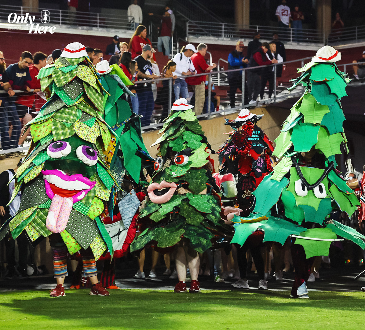 GoStanford's tweet image. How the squad is feeling today: