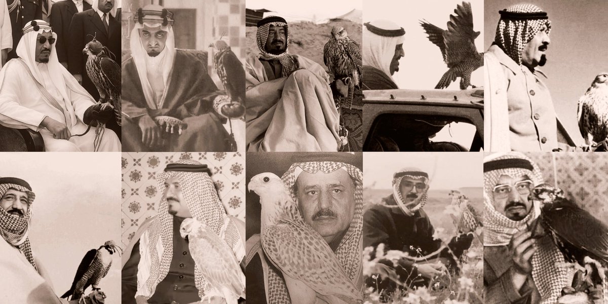 كـنّ عينه لا نظر حرٍ عديـم 
سامـعٍ له صوت صقـارٍ دعاه