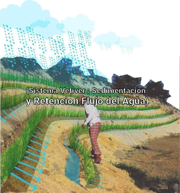 (Cianci Ulises) (@cianciulises) on Twitter photo 