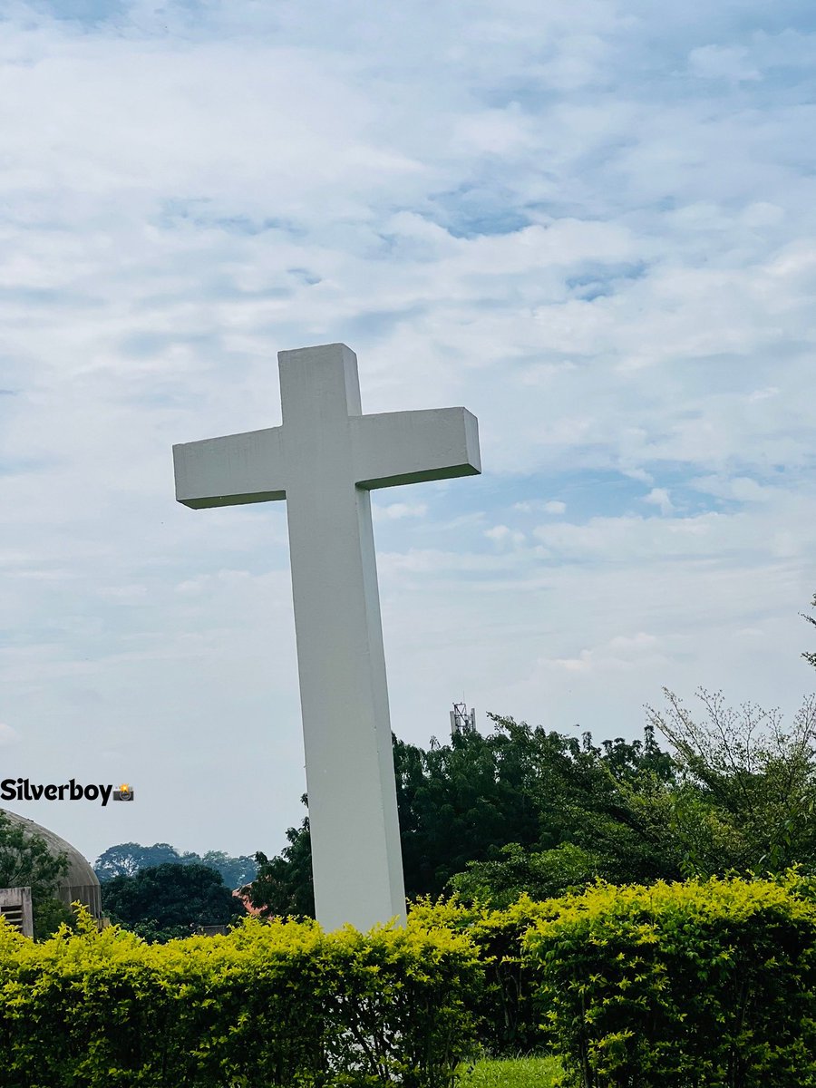 Adesuyi Silvanus tweet media