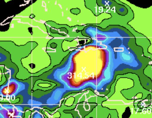 GloriaCeballos7's tweet image. También en @INDOMET_RDO actualizamos todos los modelos: de trayectoria, de cantidad de precipitación. Pero no somos “influencers”, no buscamos “like”, sino, informar debidamente a las autoridades y a la población, cuando hay una amenaza hidrometeorológica para el País, Rep. Dom.