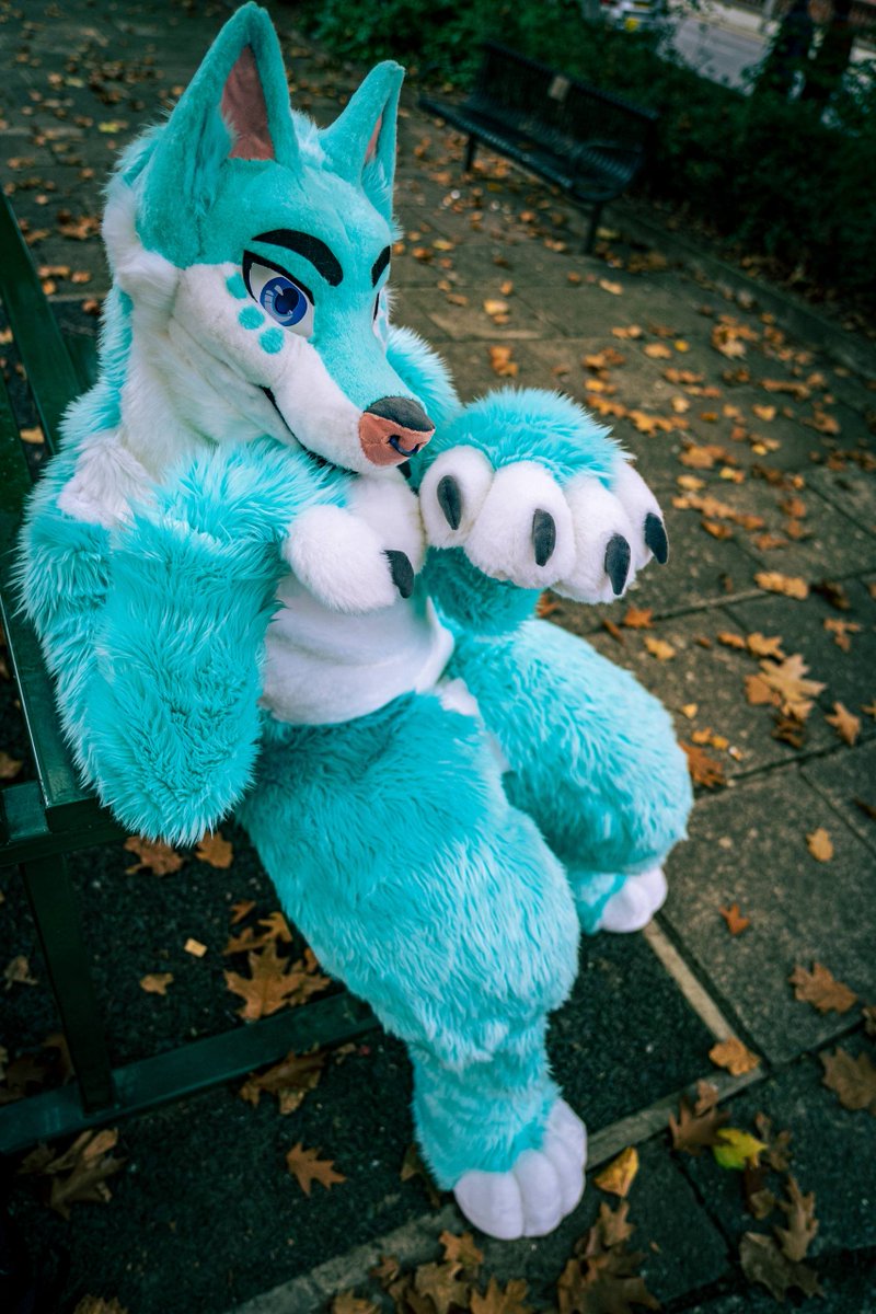 Houndmade Suits 🔜 CFZ tweet media