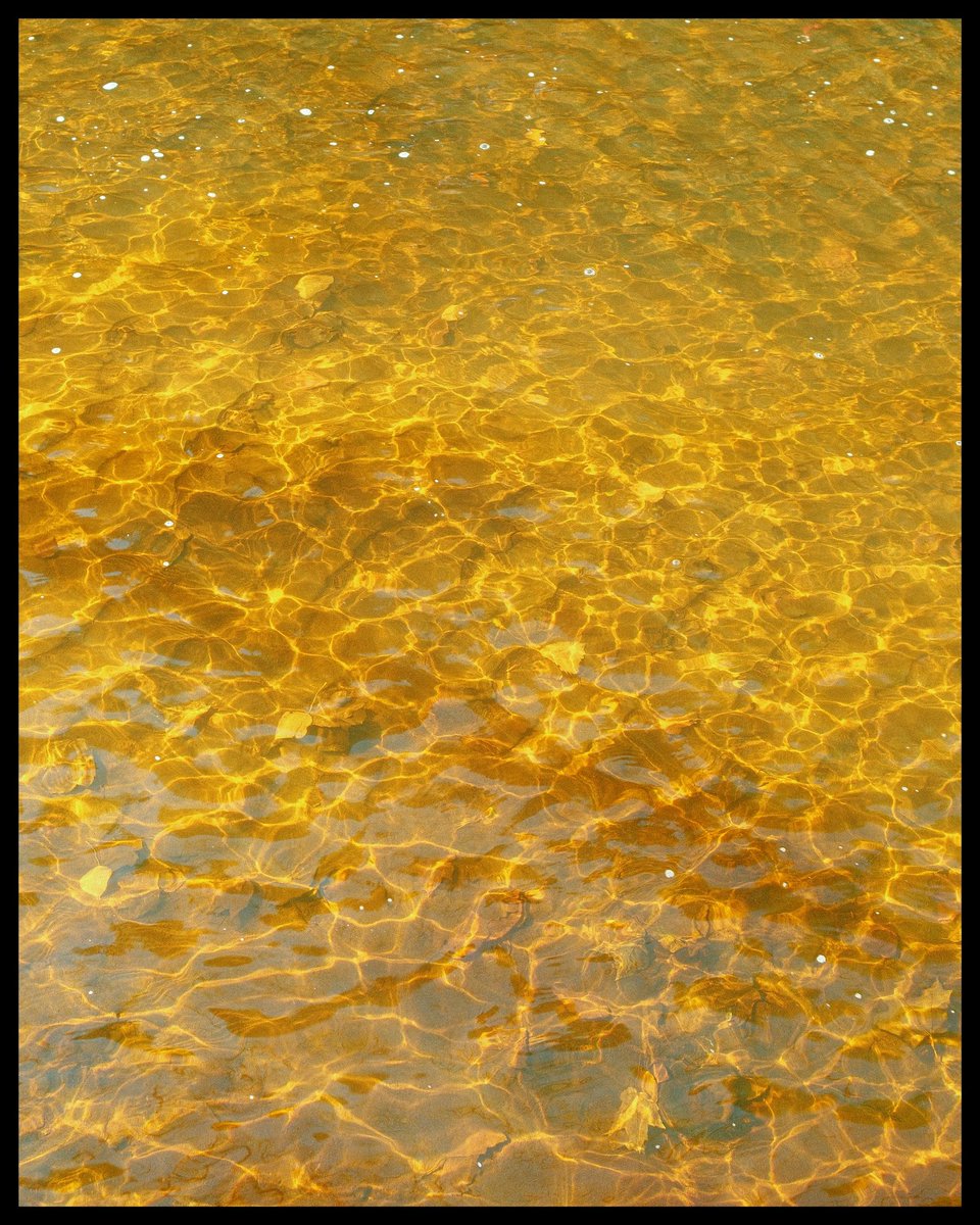 Im a huge fan of whatever this is