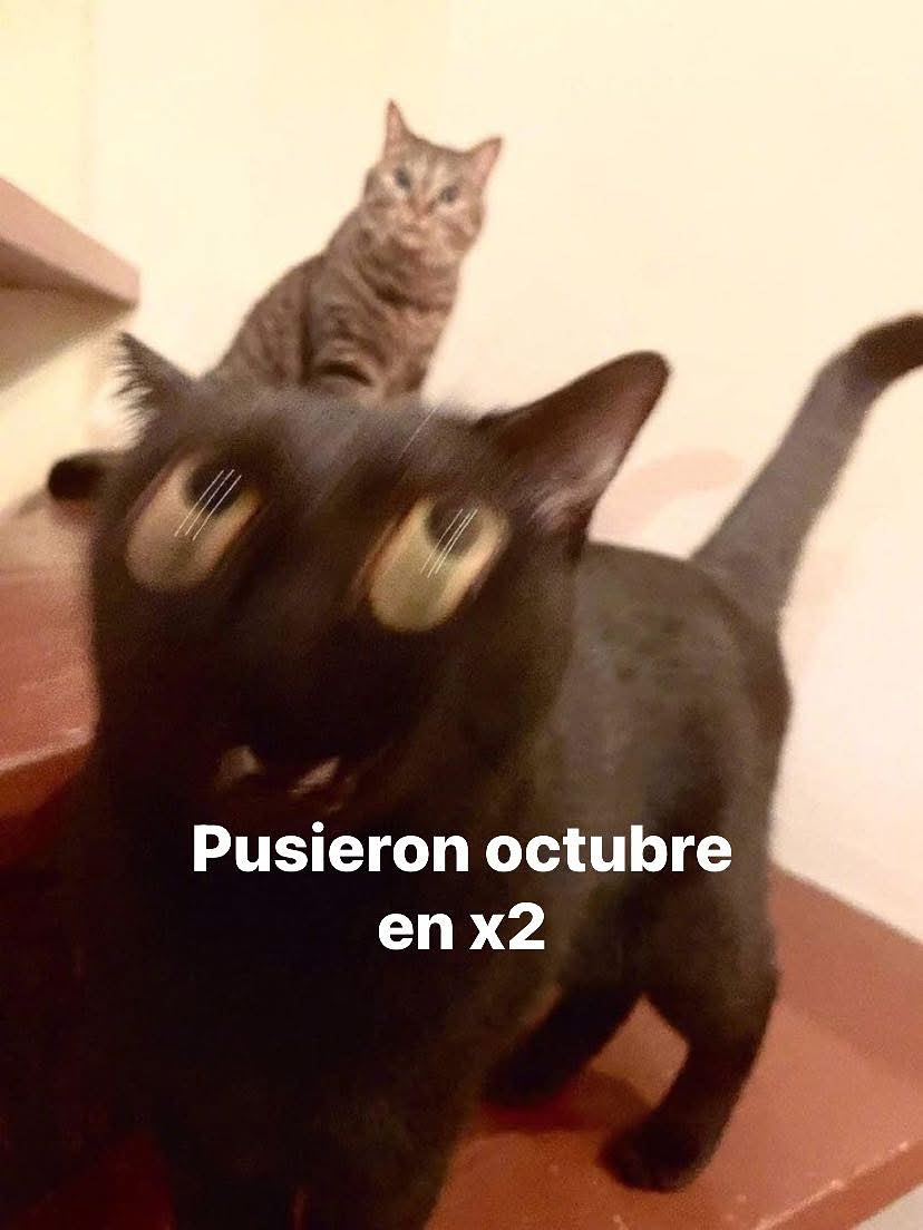 que pasa putx (@kari_ok6) on Twitter photo 