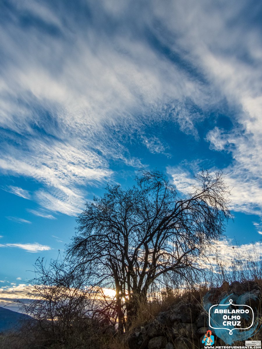 ABELARDO OLMO (@meteo_fuensanta) on Twitter photo 🌄 Atardecer espectacular 😎
<a href="/SantoReinoMeteo/">Fede Gómez</a> <a href="/Marche_C/">Marcela Cervantes</a> <a href="/anamaria190977/">Ana María Herrero</a> <a href="/JuanCarpzmol/">Juan Carlos Molina</a> <a href="/MariaVitdo/">Maria V</a> <a href="/josemmol/">JOSE M.SERNA GARCIA</a> <a href="/javioru/">Javi Martinez</a> <a href="/METEOYAYI/">METEOSALAMANCA </a> <a href="/Keluca16/">シ︎𝑭𝒖𝒆𝒏𝒔𝒊シ︎ 🍀</a> <a href="/Granada_Meteo/">tiempo en Granada</a> <a href="/meteocastuera/">Álvaro Hurtado ™ ⛈️ 🌬☔️⚡️📸📹</a> <a href="/1967fct/">EL CLIMA EN TIEMPO REAL</a> <a href="/MeteoSE/">AMETSE</a> <a href="/MeteoChatSE/">Suremet</a>  <a href="/SomosMeteo/">SomosMéteo</a> <a href="/meteo_sureste/">☈ Meteosureste</a> <a href="/AlvaroRguezGlez/">Álvaro R.G.</a> <a href="/Fran_Lorenzo95/">Fran Lorenzo</a> 🌄 Atardecer espectacular 😎
<a href="/SantoReinoMeteo/">Fede Gómez</a> <a href="/Marche_C/">Marcela Cervantes</a> <a href="/anamaria190977/">Ana María Herrero</a> <a href="/JuanCarpzmol/">Juan Carlos Molina</a> <a href="/MariaVitdo/">Maria V</a> <a href="/josemmol/">JOSE M.SERNA GARCIA</a> <a href="/javioru/">Javi Martinez</a> <a href="/METEOYAYI/">METEOSALAMANCA </a> <a href="/Keluca16/">シ︎𝑭𝒖𝒆𝒏𝒔𝒊シ︎ 🍀</a> <a href="/Granada_Meteo/">tiempo en Granada</a> <a href="/meteocastuera/">Álvaro Hurtado ™ ⛈️ 🌬☔️⚡️📸📹</a> <a href="/1967fct/">EL CLIMA EN TIEMPO REAL</a> <a href="/MeteoSE/">AMETSE</a> <a href="/MeteoChatSE/">Suremet</a>  <a href="/SomosMeteo/">SomosMéteo</a> <a href="/meteo_sureste/">☈ Meteosureste</a> <a href="/AlvaroRguezGlez/">Álvaro R.G.</a> <a href="/Fran_Lorenzo95/">Fran Lorenzo</a>