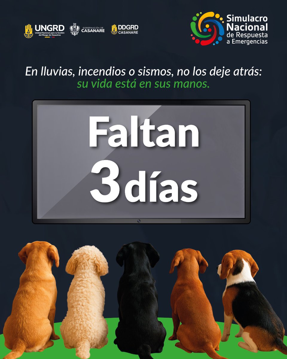 #FaltanTresDías: Para el gran simulacro nacional de emergencias

En Casanare ya confirmaron más de 650 entidades públicas y privadas, junto al CDGRD y los 19 CMGRD, preparan la simulación de emergencias derivadas de un sismo fuerte

#SimulacroNacional 🇨🇴
22 de octubre 9:00 a.m.