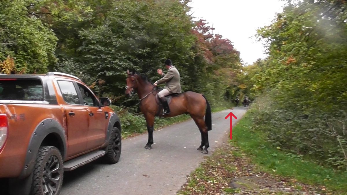 Fox saved &amp; hunt supporters threaten sabs with serious violence at the Mendip Farmers Hunt. 

Read our full hit report below. 👇