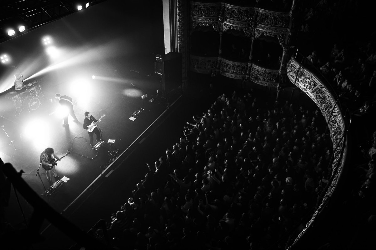 The Academic tweet media