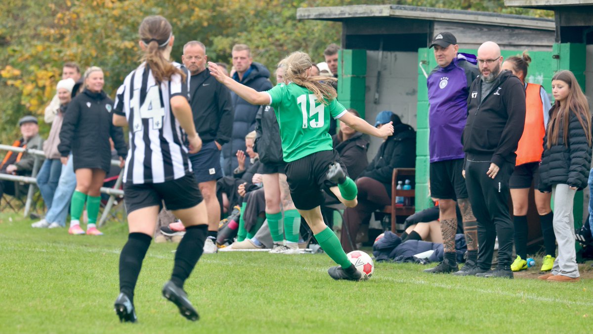 Hardy Scott Photo's tweet media