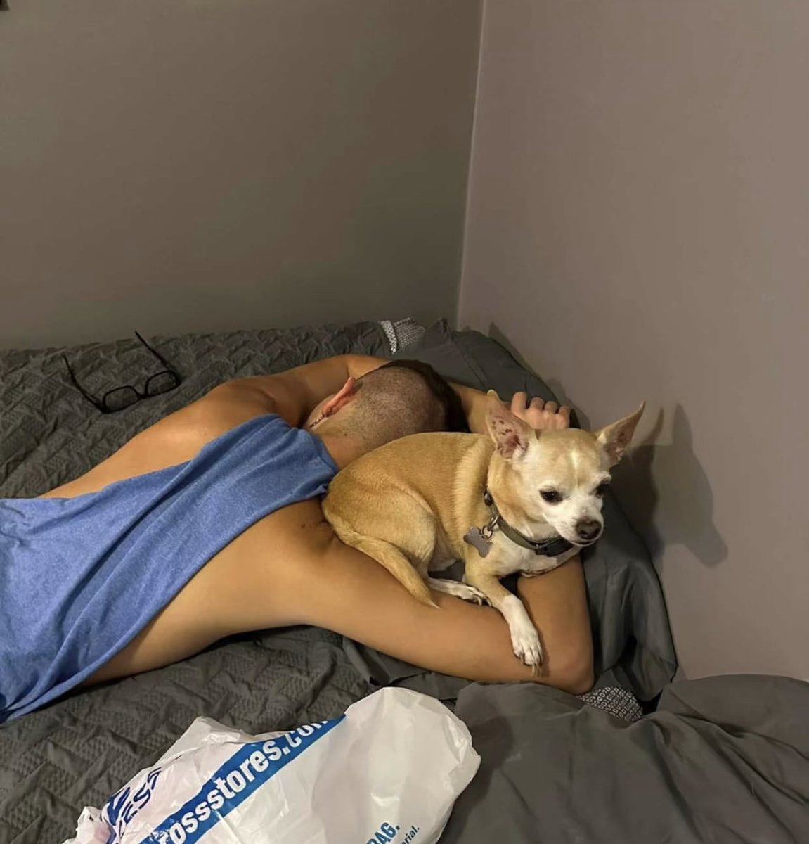 🥀Troy🥀 tweet media