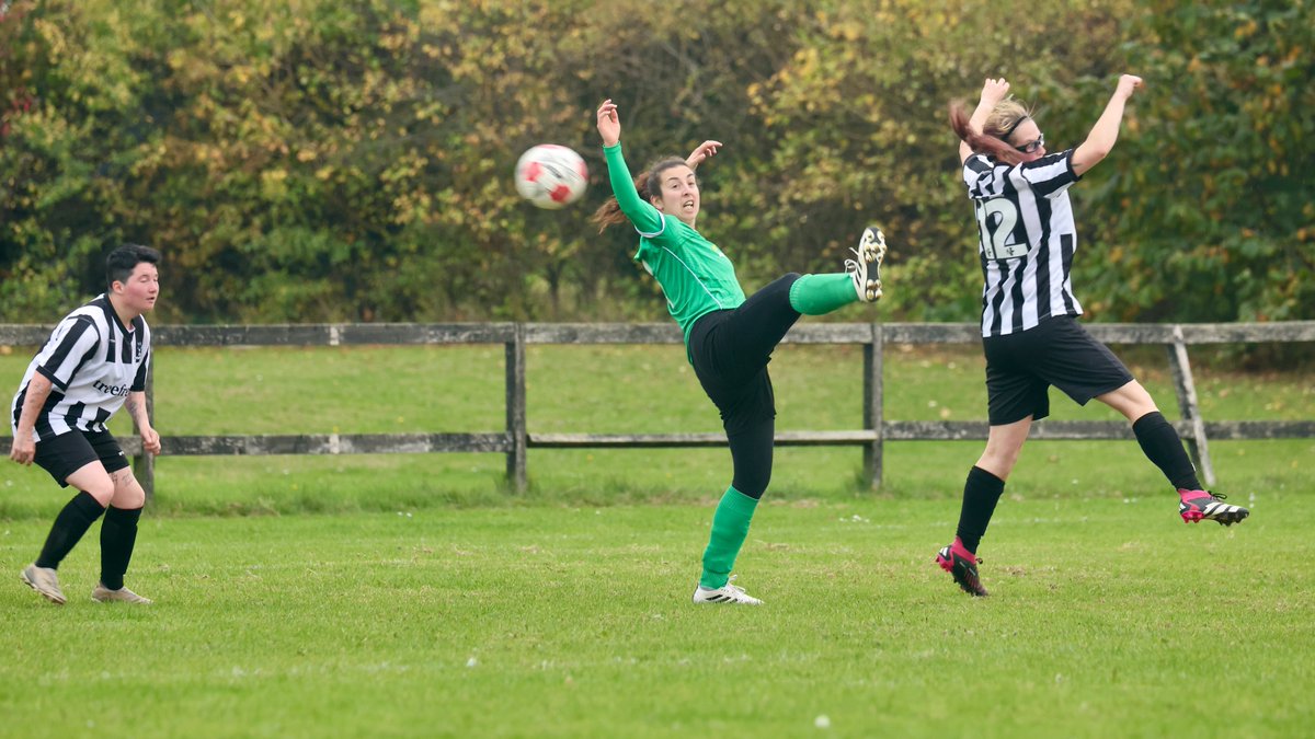 Hardy Scott Photo's tweet media