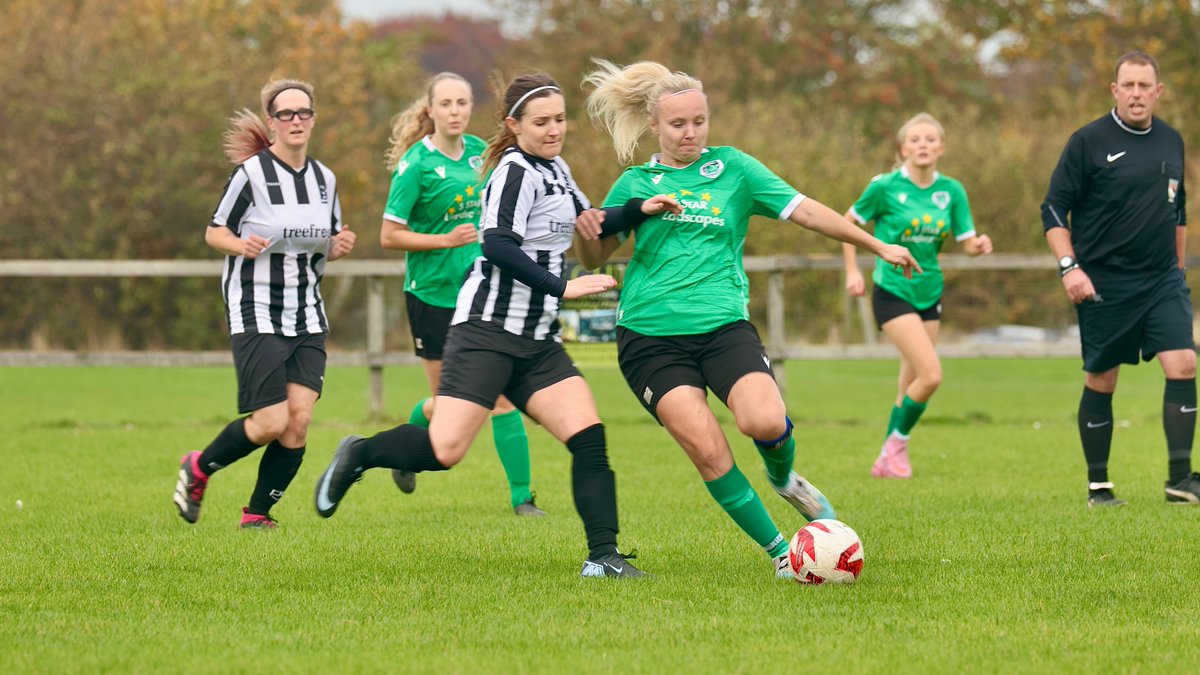 Hardy Scott Photo's tweet media