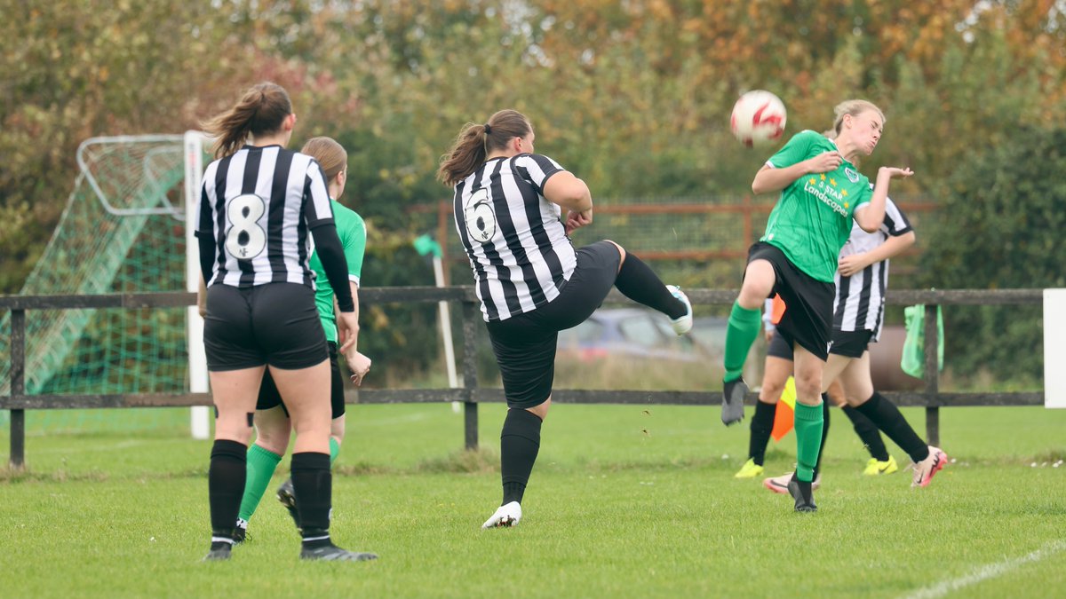 Hardy Scott Photo's tweet media