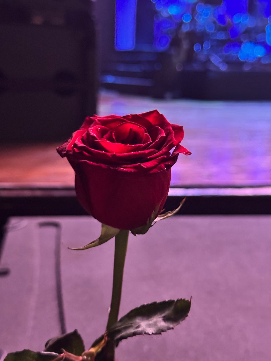 Yanimolap's tweet photo. Hoy amanecí re feliz, gracias por tanto @ilvolo @GianGinoble  , tuvieron que pasar 13 años para volver a verlos y ha sido mágico 😭❤️❤️❤️❤️ https://t.co/5sOvDFpaen