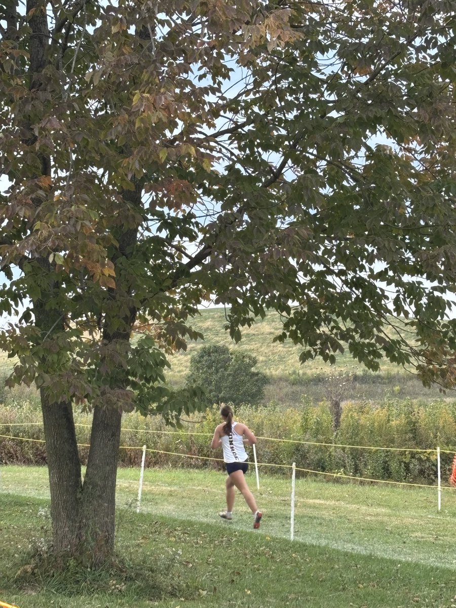 Monroe Athletics tweet media