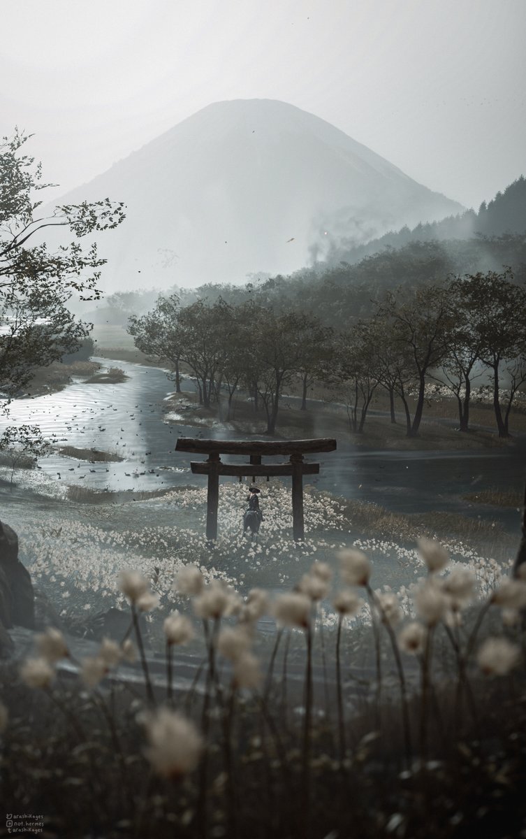 Wanderer

#GhostofYotei #VirtualPhotography