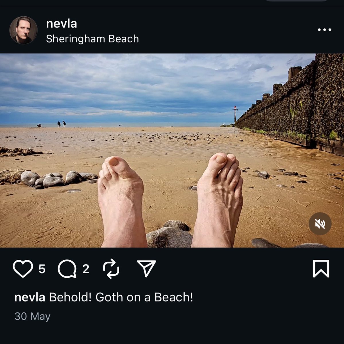 Tweet media one