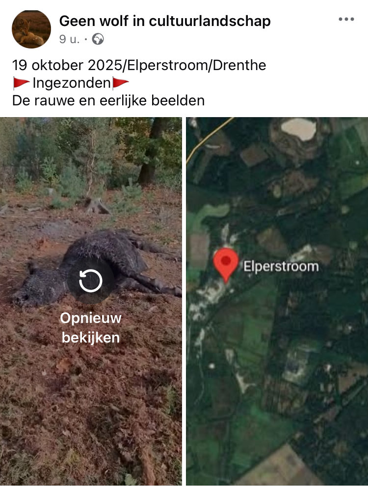 Bernd Hietberg tweet media