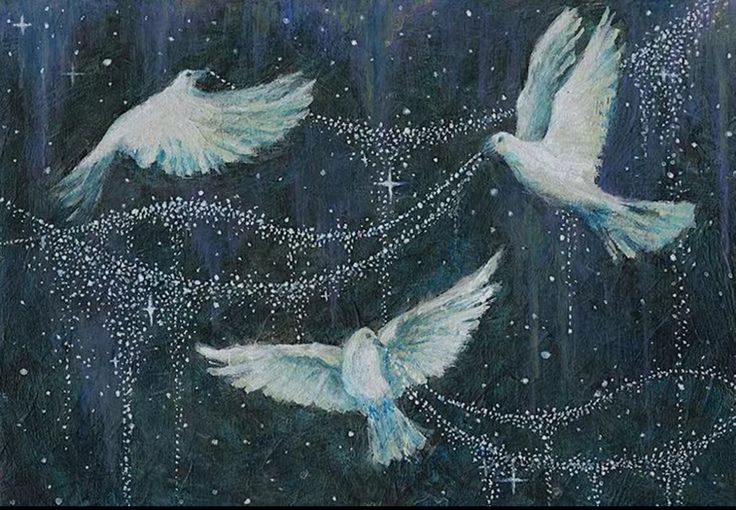 𝐀𝐫𝐢𝐚𝐝𝐧𝐞 tweet media