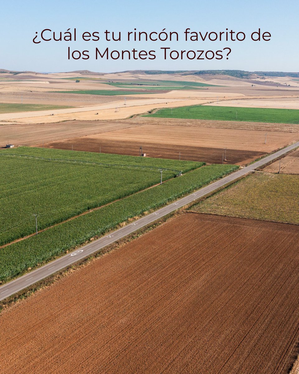 tornadera_'s tweet photo. Cada piedra, cada camino y cada pueblo guardan historias que deben ser contadas.

¿Cuál es tu rincón favorito de los Montes Torozos? 🏠 https://t.co/0d4NRt6wPb