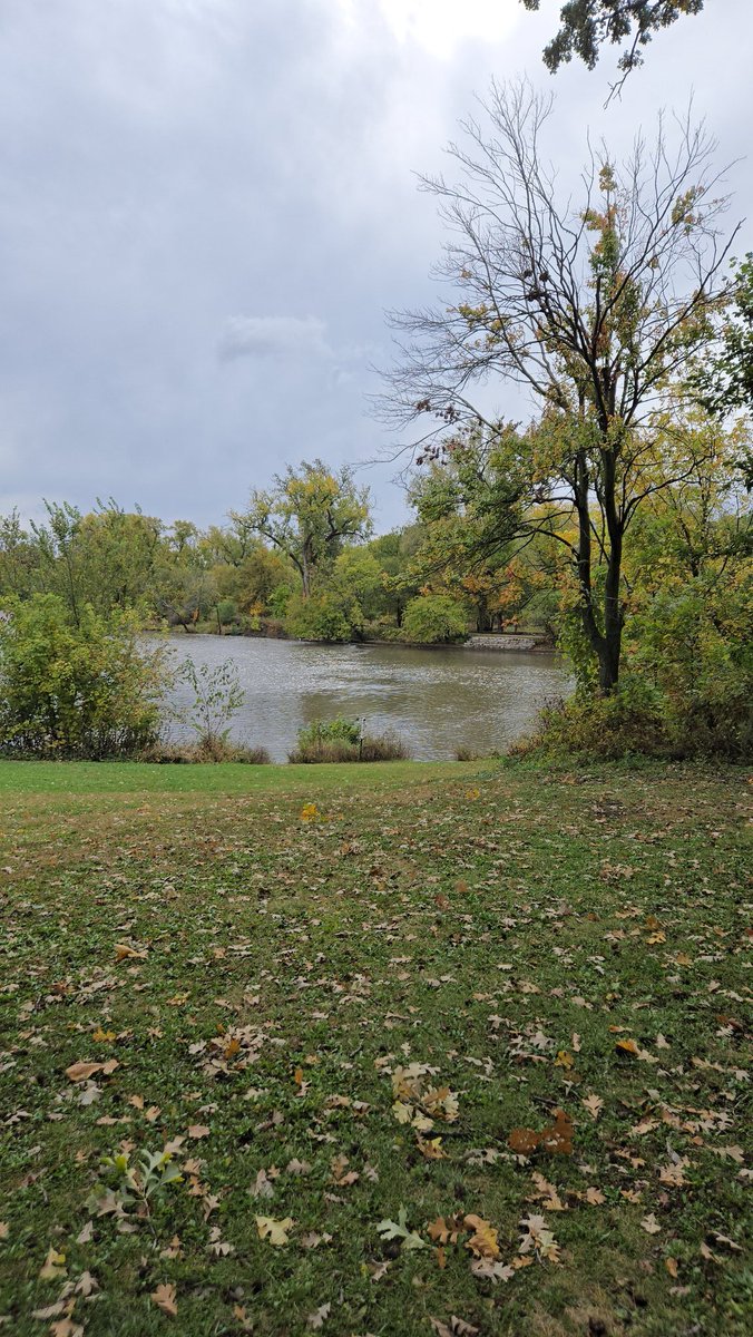 Northof80's tweet image. gm