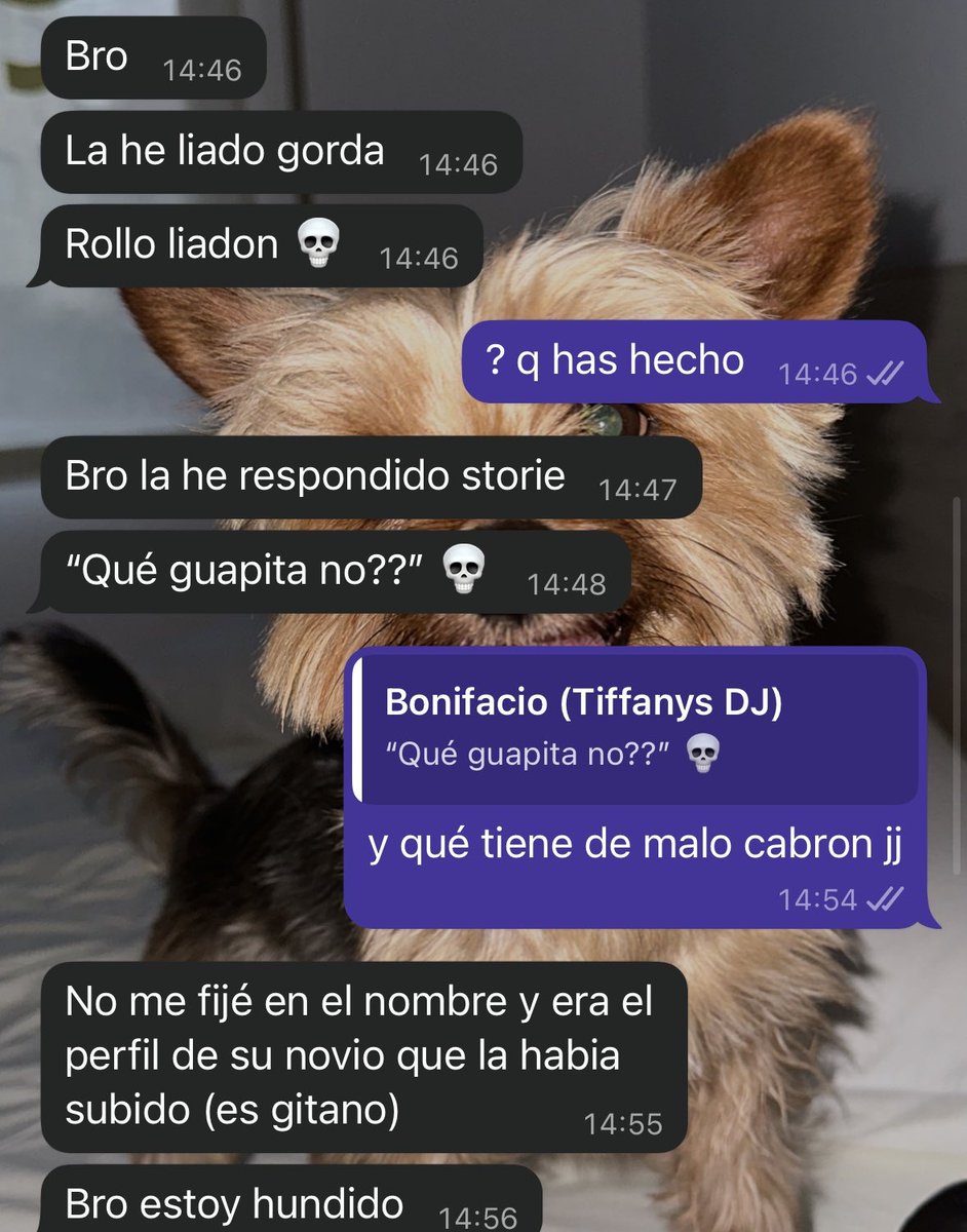 cojonudo (@perromandarinas) on Twitter photo 