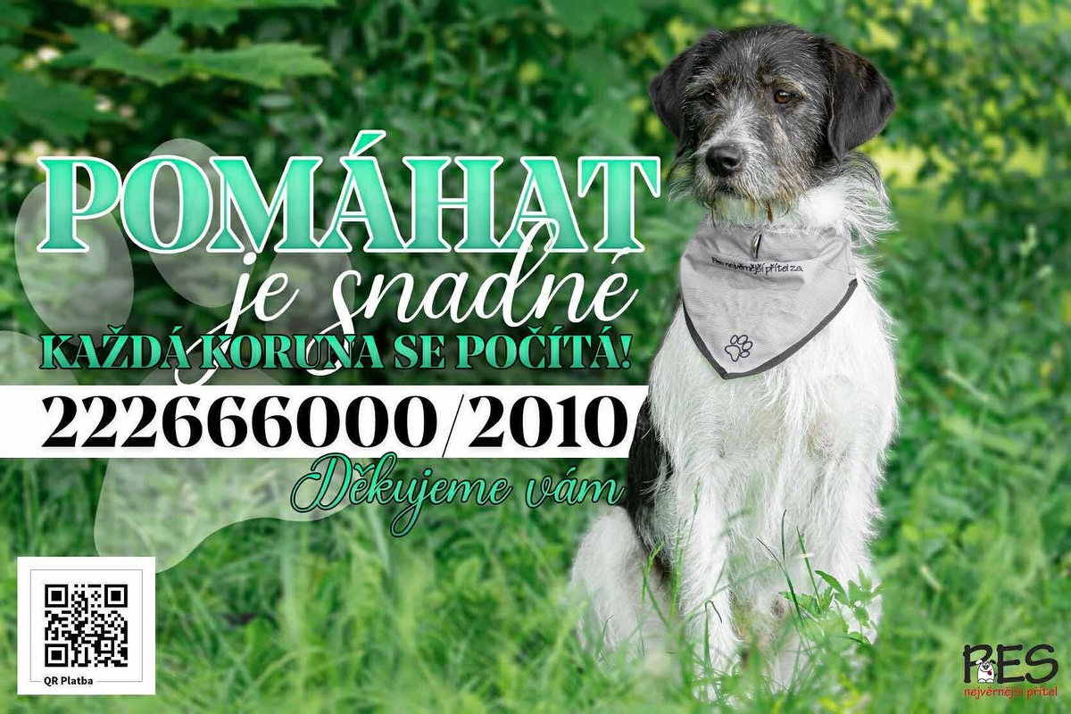 Voláme o pomoc 😔
Na účtu máme 180 500 Kč, ale měsíční náklady útulku jsou 250–270 tisíc.
V péči máme 70 zvířat a čekají nás operace i léčba. 💔
Prosíme, pomozte nám to zvládnout 🙏
👉 darujme.cz/projekt/1211852

#útulek #pomoc #zvířata #daruj #pesvnouzi #kočkavnouzi #pomáhej