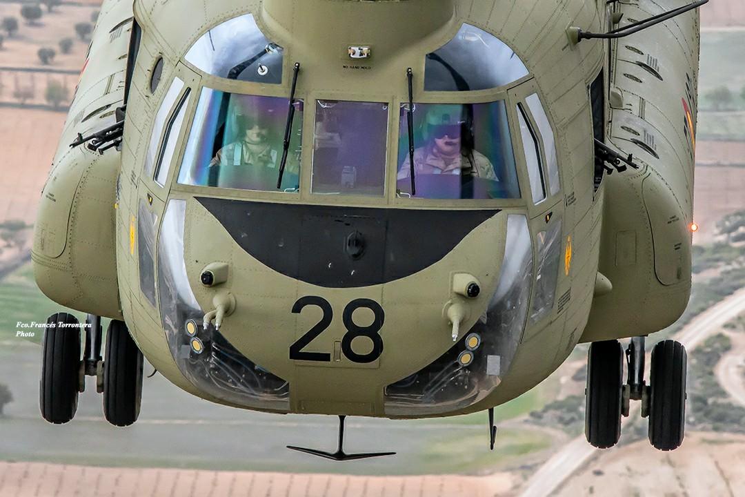 Fco.Francés Torrontera tweet media