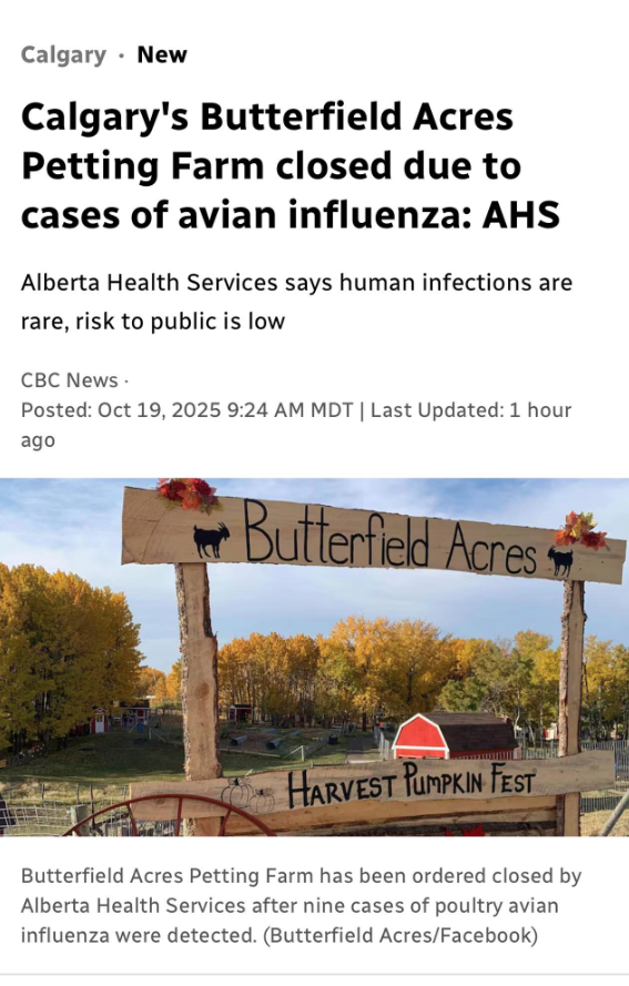 ShareawareCdn's tweet image. BREAKING- CALGARY The Animals at Butterfield Acres PETTING ZOO are the next CFIA target. AHS services... is under attack and now this?
@SheilaGunnReid 
@DreaHumphrey 
#ostrichfarm #cfia