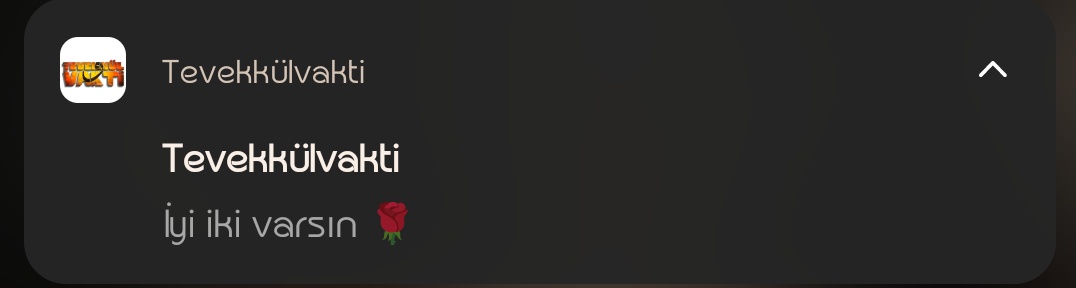 Bir mesaj seni mutlu edebilir;)