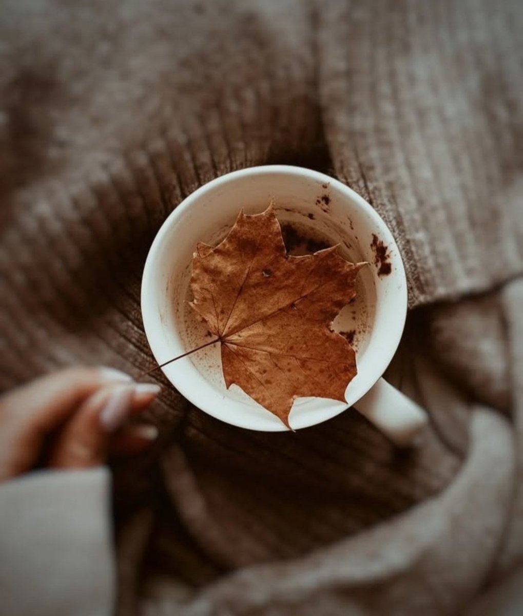 .

Ne zaman tatlanacak bu yaşam
Uzun bir öpücük gibi dudaklardan
Sen söyle ne zaman

Yine sabır taşıyoruz evlere
Sabır ki doruklardan yüce
Her adımda
Gelecek türkülenirken ince ince
Apansız bir ölüm fırtınası
Bir kanlı yağmur
Yaşam yasımızı tutuyor sessizce.

#AdnanYücel

.