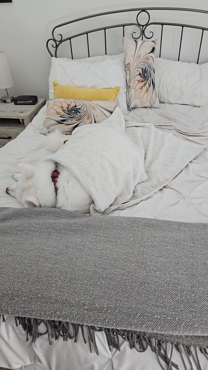 Jack Cymet tweet media