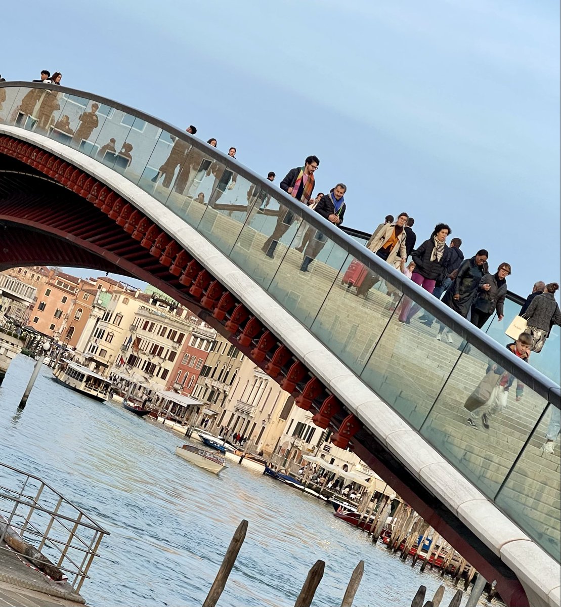 David Martin tweet media