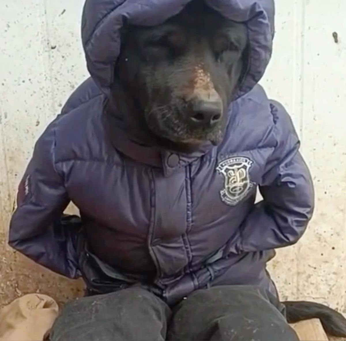 hard everything (@hrdevrythng) on Twitter photo 