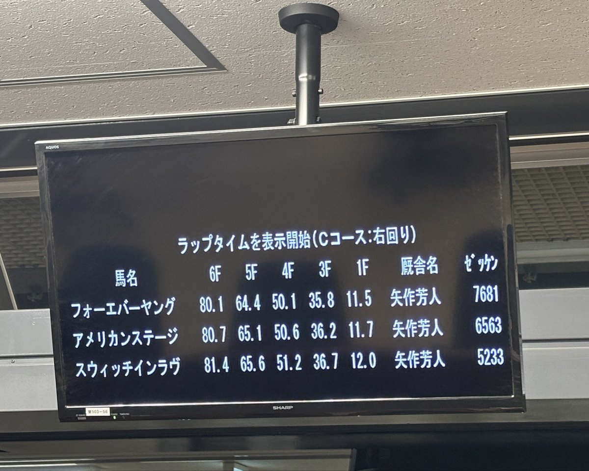 hochi_mnm's tweet image. 早朝5時の栗東トレセンからおはようございます☀
米BCの出走馬が国内最終追い。フォーエバーヤング、アメリカンステージ、スウィッチインラヴは3頭併せを行いました🏇