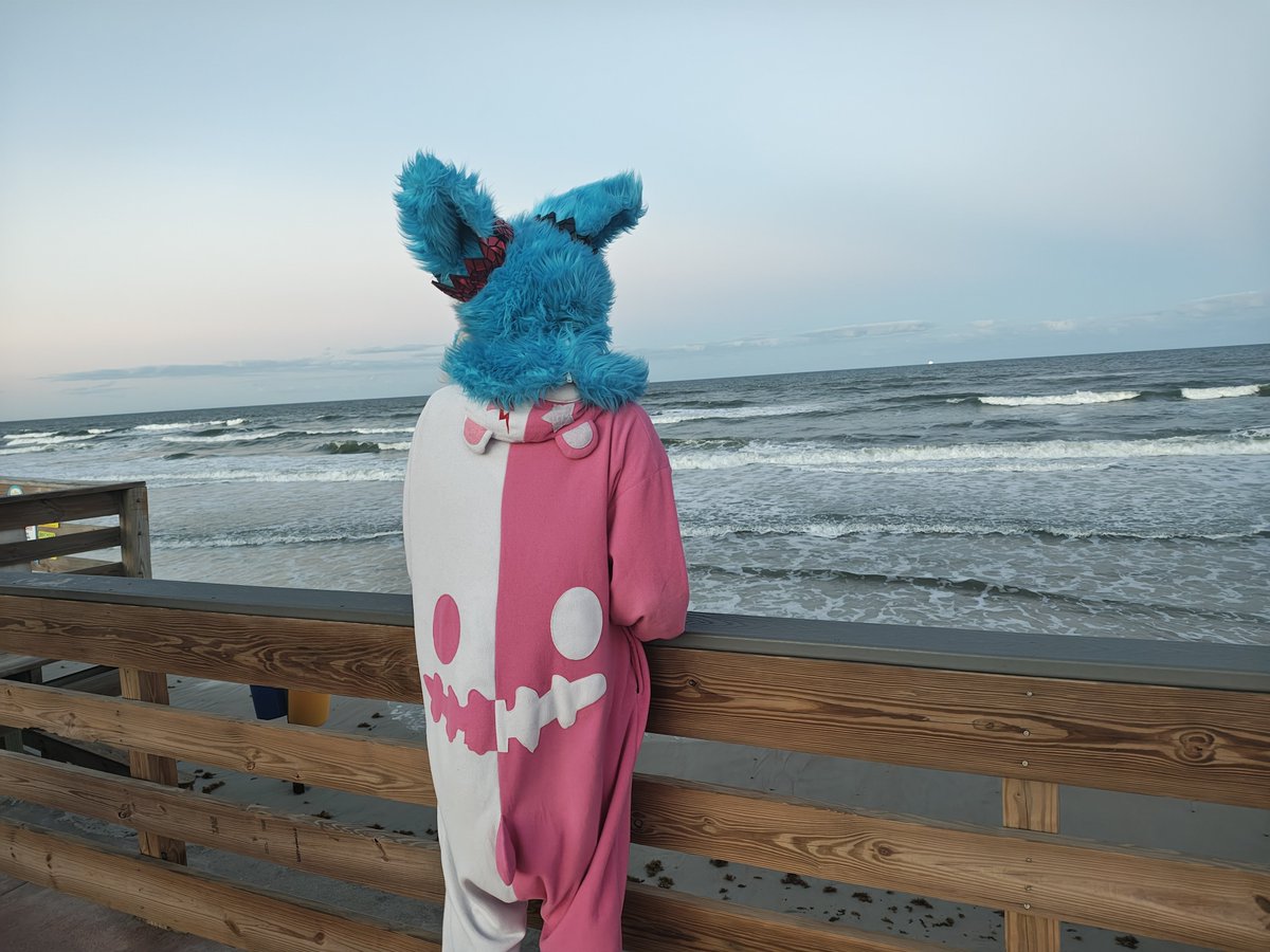 Rascal (@fluffarian) on Twitter photo 