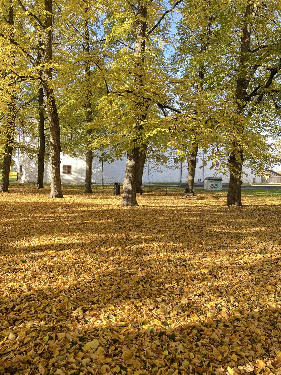 Turun linnalla oli todella kaunista  tänään 😍😍