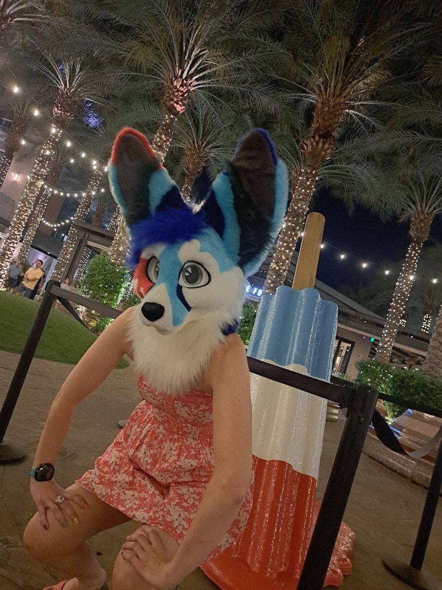 SplatFennec's tweet image. Fox behavior