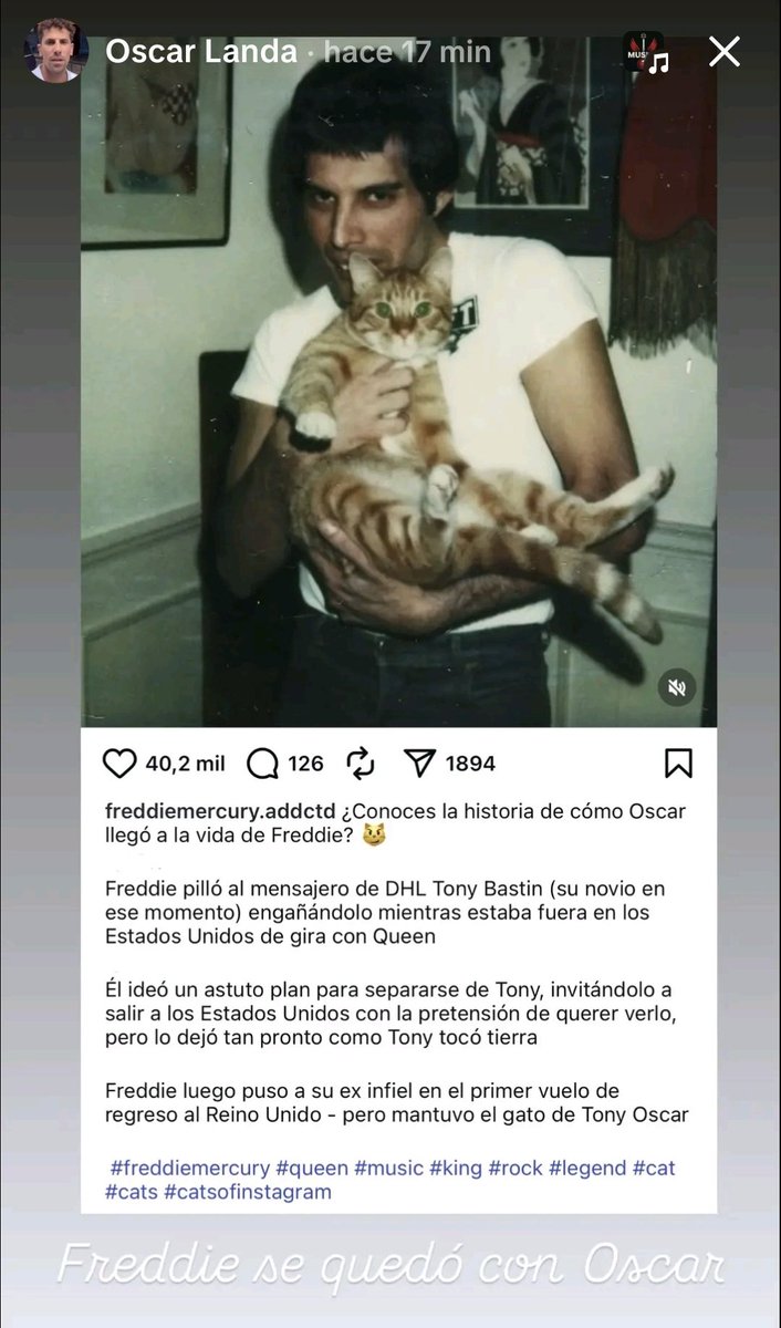 Liset90367086's tweet photo. Pon un Óscar en tu vida 🥰 https://t.co/uudFErrQ0Y