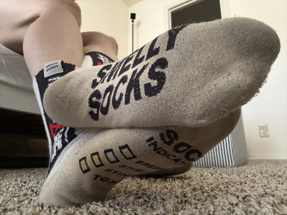 LuckyPawSocks's tweet photo. I thought it was a nice view 🧦 https://t.co/nm1eGvh5BP
