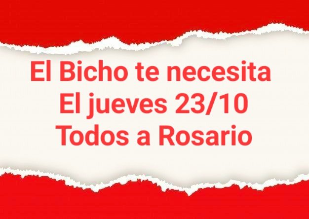 aaajysugente's tweet photo. #AAAJ
Este Jueves alentemos todos Juntos.
Todos a Rosario!!!
#VamosBicho
🐞❤️💪 https://t.co/4m6o0011fS