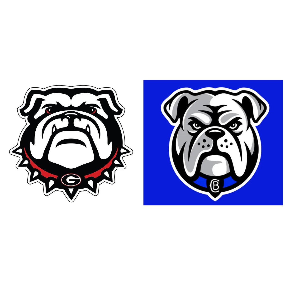 ChrisCicchini's tweet photo. @PhilGould15 The Georgia Bulldogs felt the same way with their design. https://t.co/Al2AEeG5JQ