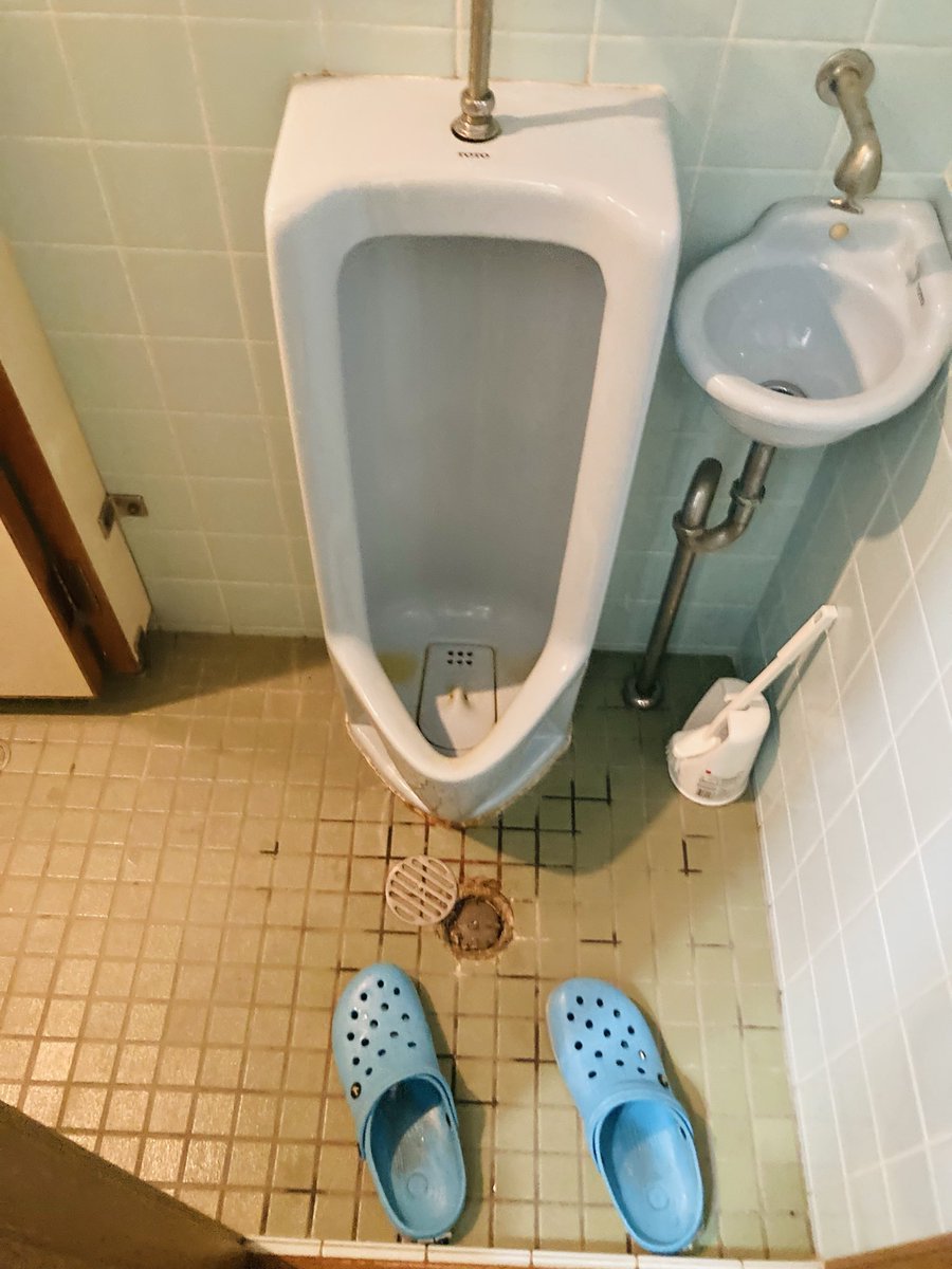 gcode2012's tweet image. 今日も朝からトイレ掃除!運気上げるのやああああ!
トイレ掃除を開始したのは2012年から。
ずっと前にこれは習慣化されました!☺️
3日4日に一度は必ずキレイキレイしてます☺️