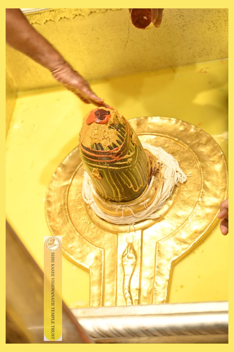 श्री काशी विश्वनाथ जी की सप्तऋषि आरती I
#kashivishwanath #kashi #sanatandharma #banaras