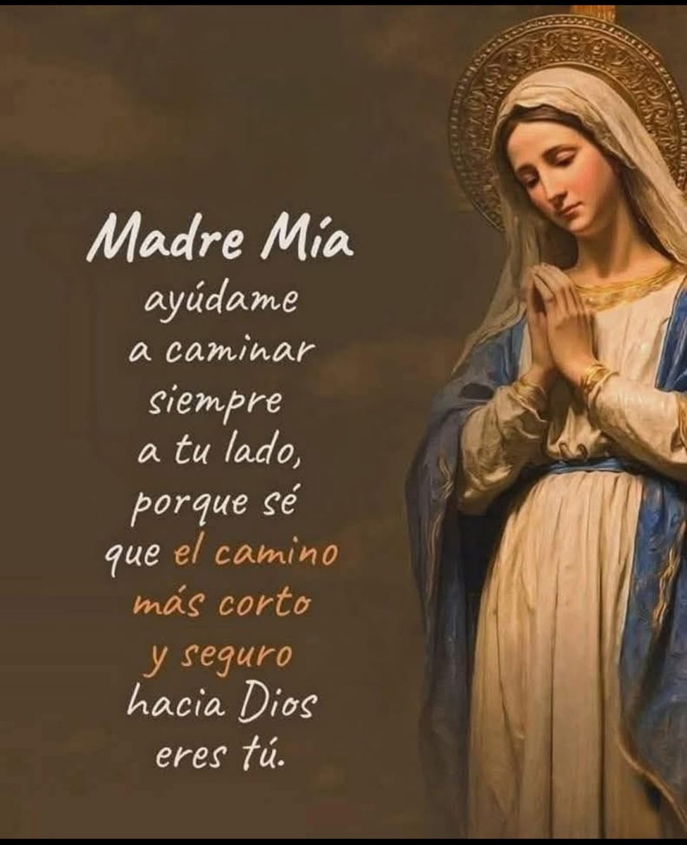 Frases de Santos (@topsevenfactory) on Twitter photo 