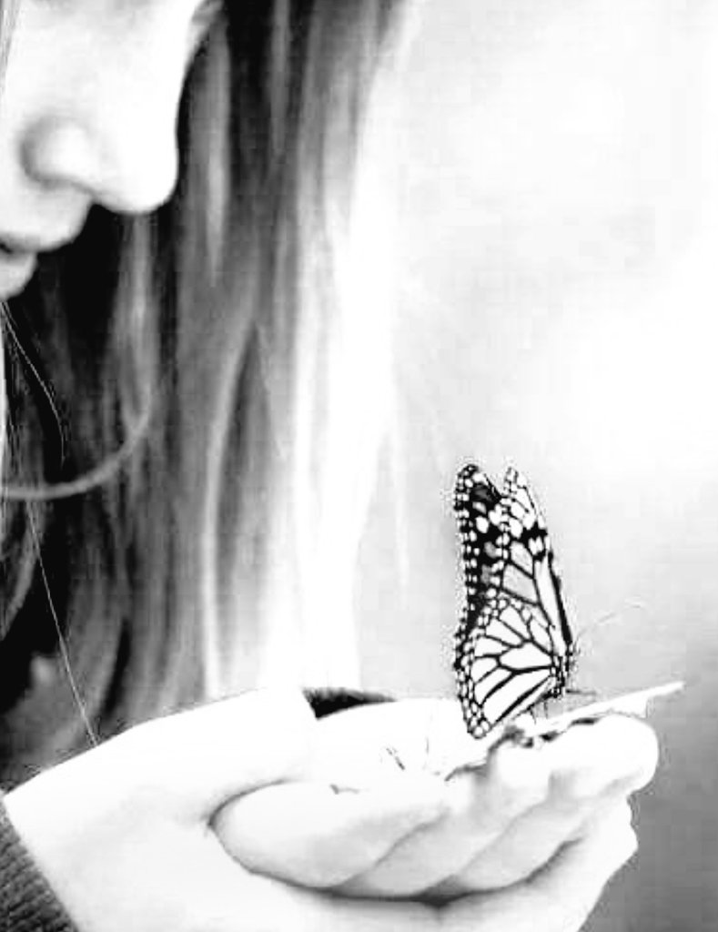 550w55's tweet photo. ما يميزها عن غيرها ، 
أنها حنونه ، 
هادئه ، 
وخطواتها خفيفة على القلوب ،
 وكأنها تود لو تكون فراشه ، 
أو هي بالفعل فراشه 🦋🥰

@PopMam7 https://t.co/EEyQBdTaBN