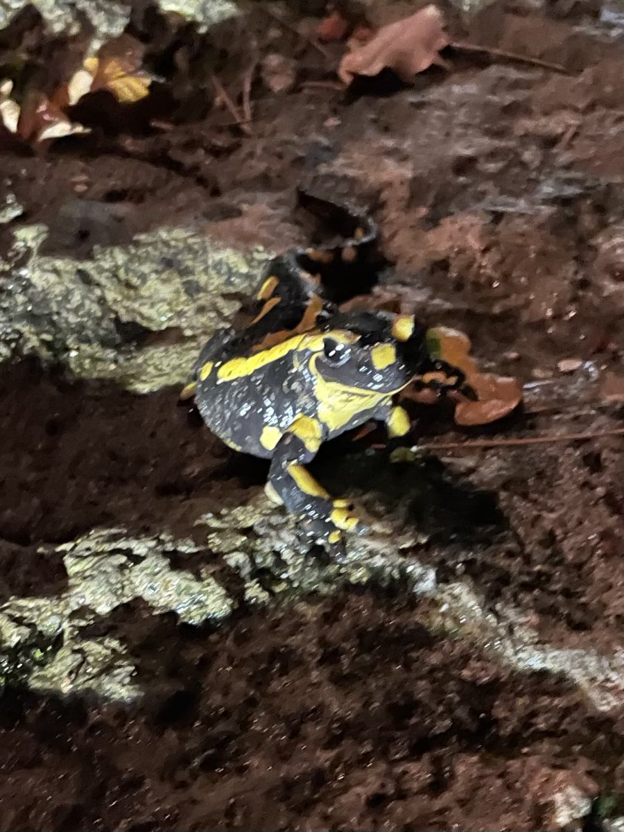 rensinladouce's tweet image. Hoog bezoek vanavond op de #campagne