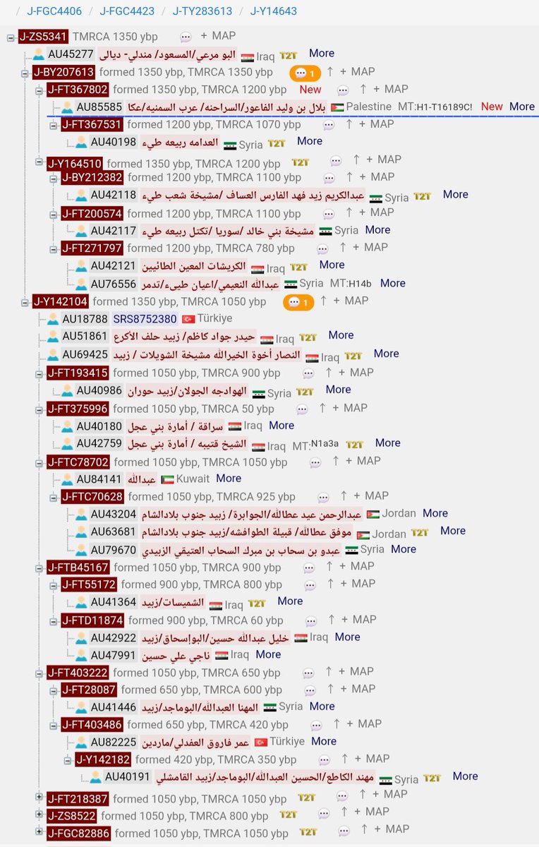 Zubaid_Tey's tweet photo. الذي يمثل قبائل عتود بن عنين والمتفرع من التحور حفيد تحور عنين بن سلامان J1-Y500523 حفيد تحور سلامان بن ثعل J1-FGC4423 المتسلسل من التحور الطائي المذحجي J1-FGC4421 من تكتل قبائل مذحج J1-FGC4422 من تكتل أحفاد أدد بن زيد الكهلاني J1-FGC4415

يتبع 3 https://t.co/0k2WyXylia